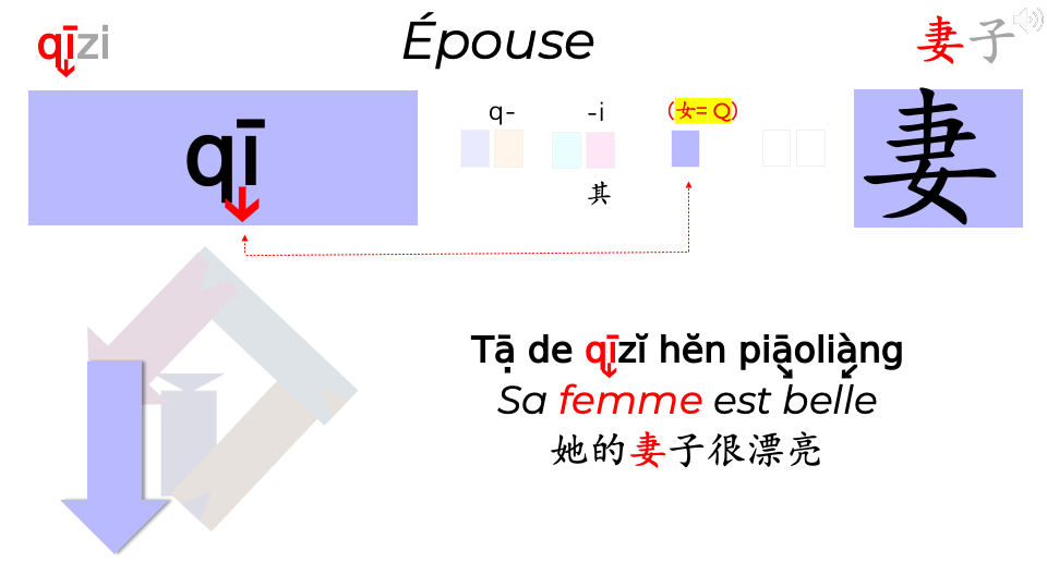 15_Clés HLS-PQRST